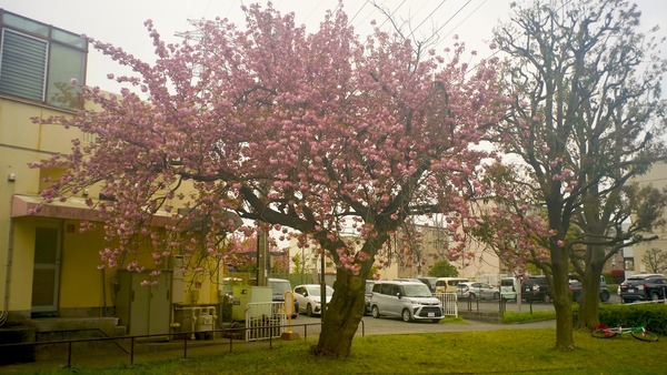 R0010720
