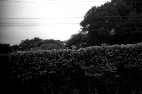 20090830ES(2)-10-1280
