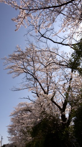 R0010647