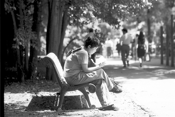 Reading at lunchtime