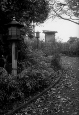 20081229EED2-30_1028