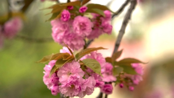 R0010804