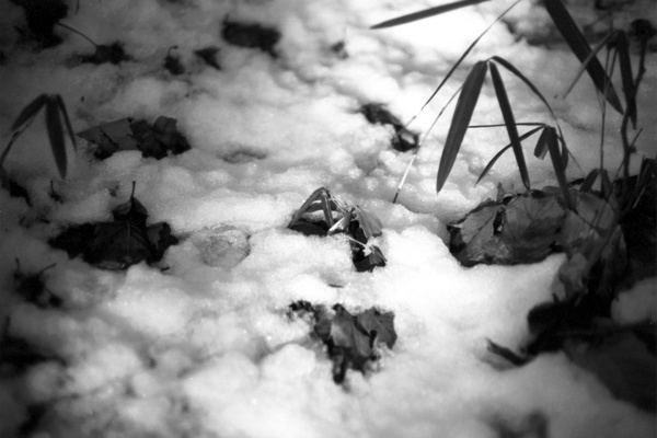 2008021002ES-39_1280