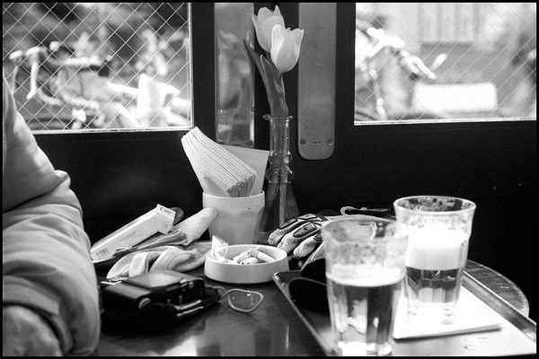 tulip