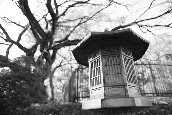 EOS_1Ds_MKII EF20-35mm F2.8 L