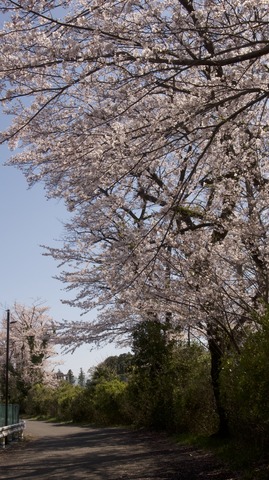 R0010650