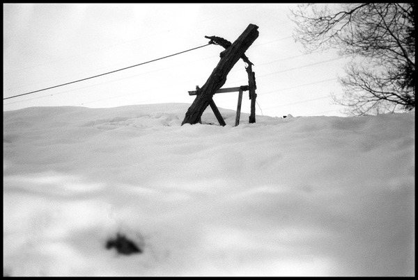 20080210NIKONF-09