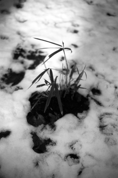 2008021002ES-38_1280