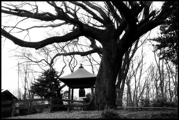 20080329ESIISIGMA35-80_29