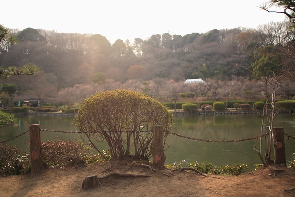 EF20-35mm F2.8 L