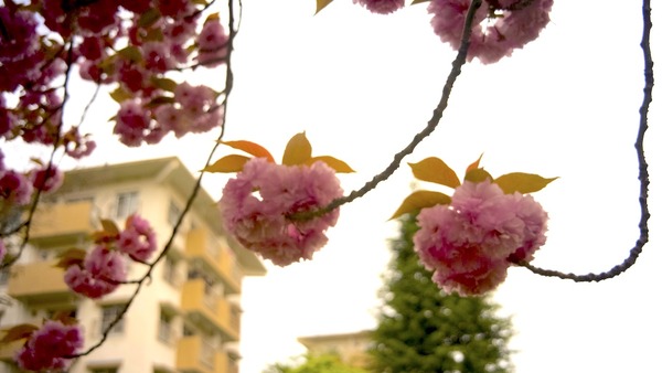 R0010720