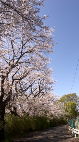 R0010658