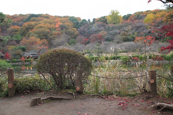 EOS_1Ds_MKII EF20-35mm F2.8 L