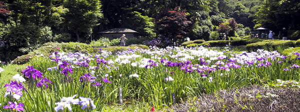 d0505f70.jpg