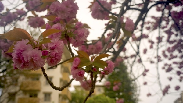 R0010720