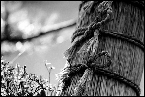 20080210NIKONF-25