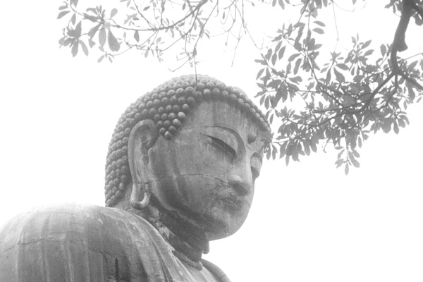 f3245081.jpg