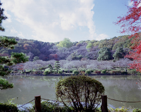 f4733453.jpg