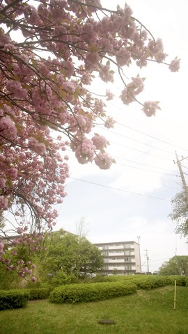 R0010718