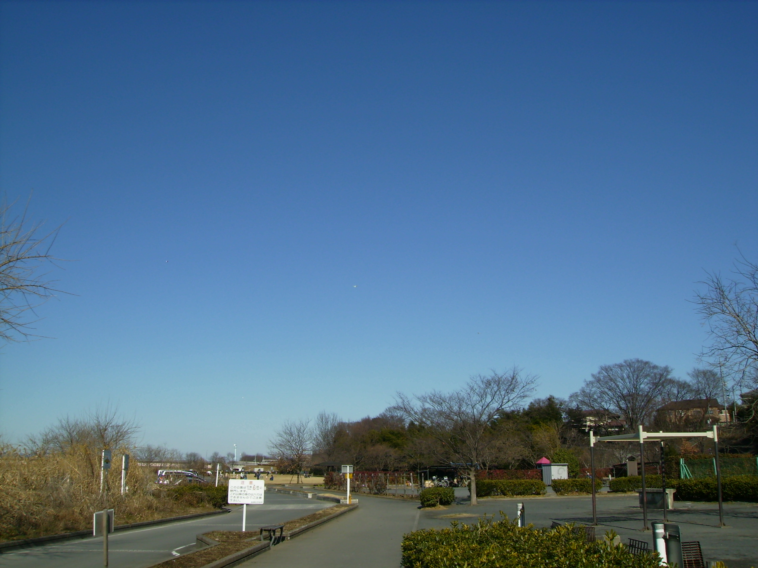 昭島 福生 立川通信 福生 多摩川緑地福生南公園 Livedoor Blog ブログ