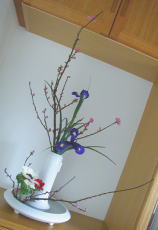 星のいけばな seica_観水型 今夜はりゅう座流星群が見頃らしいのですが、都内