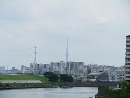 Caad10で週末ライド 荒川cr 葛西臨海公園 Akitaの気ままにブログ 自転車 ロードバイク 登山 ランニング