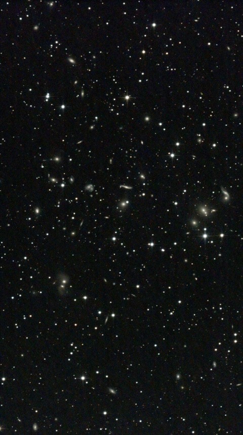 スクリーンショット 2024-05-03 020725