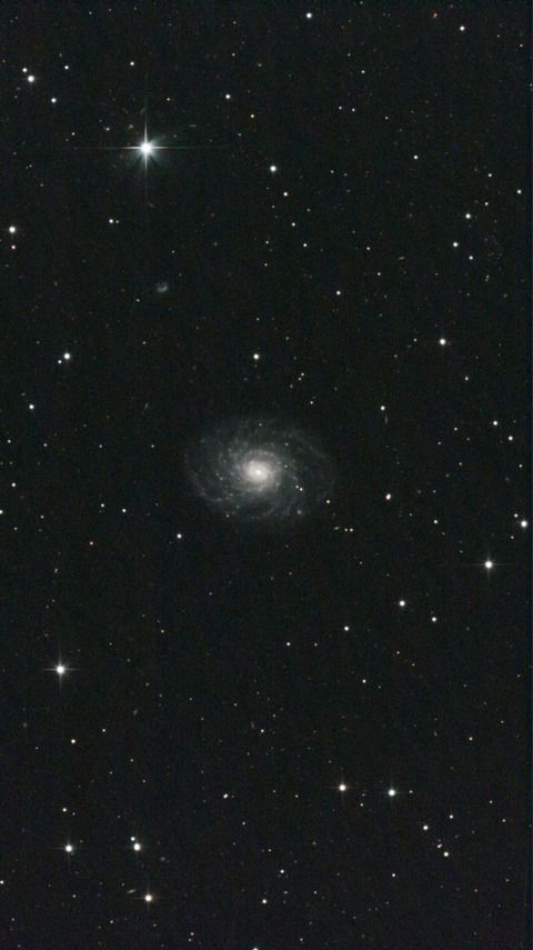 スクリーンショット 2024-05-02 220455