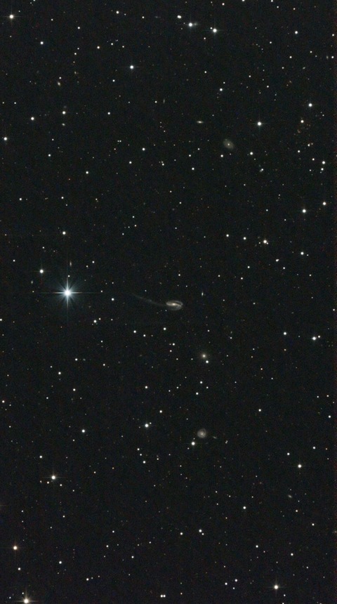 スクリーンショット 2024-06-08 010200