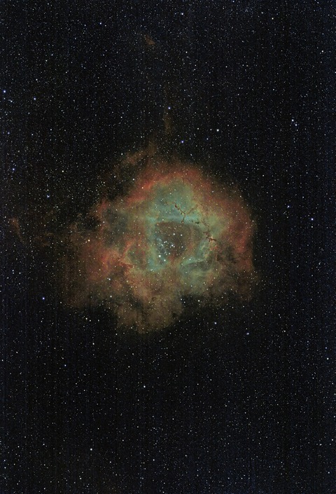 20240105 02NGC2244(バラ星雲)02