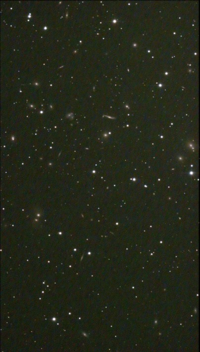 スクリーンショット 2023-06-19 005043