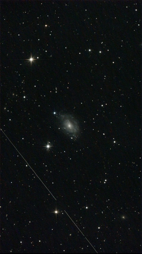 スクリーンショット 2024-06-15 010325