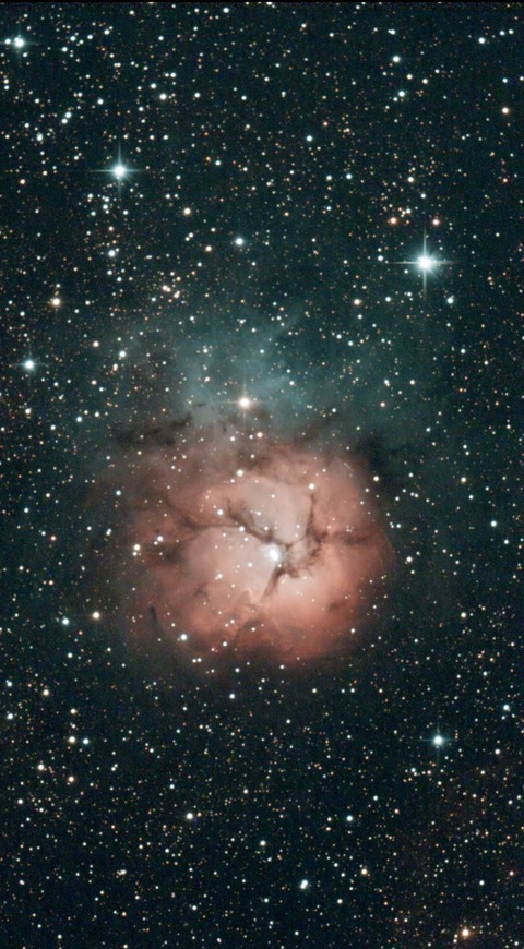 スクリーンショット 2023-07-24 230500