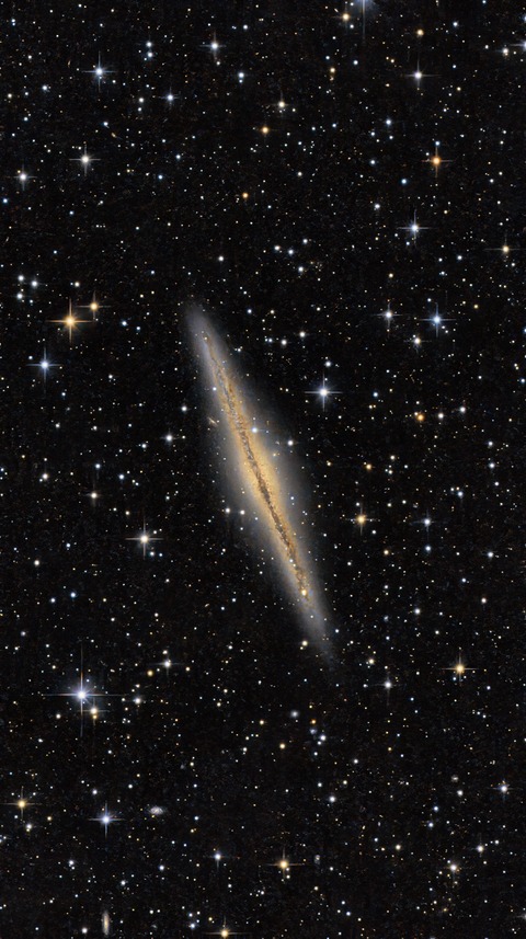 20251219 02NGC891-100