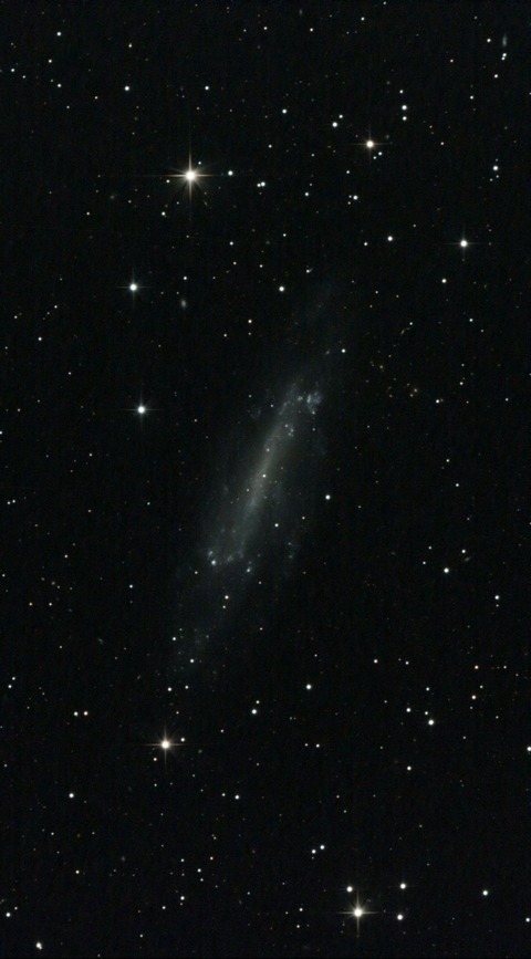 スクリーンショット 2024-05-03 005851