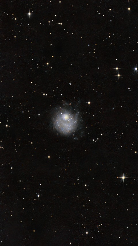 20250529 01NGC5474-99(