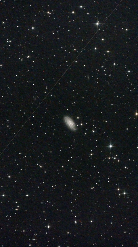 スクリーンショット 2024-08-08 233221