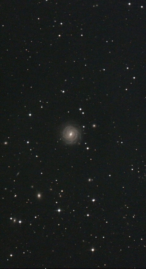 スクリーンショット 2024-11-04 011102