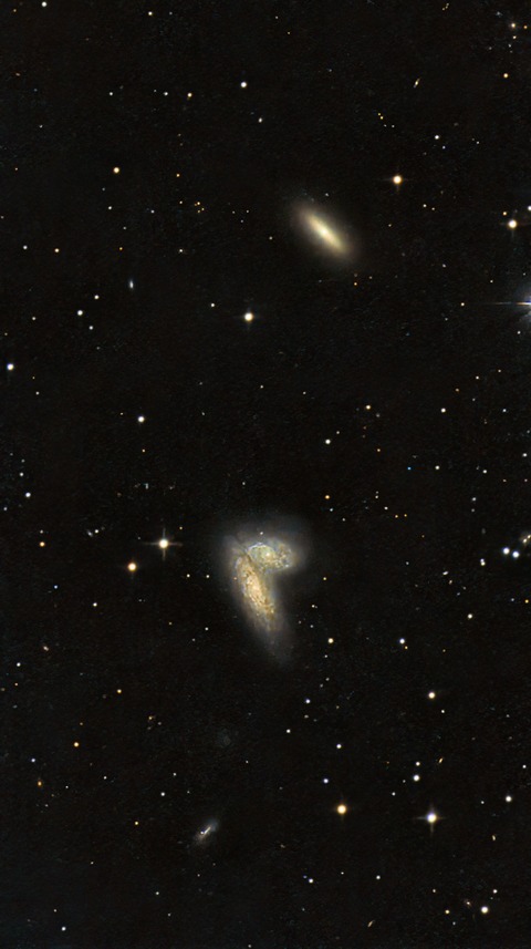 20250528 02NGC4568(シャム双生児銀河)-99