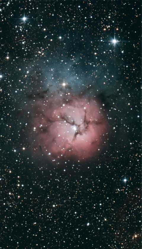 スクリーンショット 2024-05-15 024014