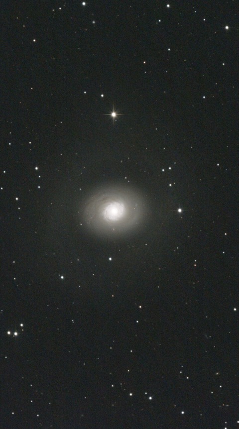 スクリーンショット 2024-04-05 031242