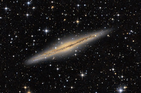 20251219 02NGC891-100横