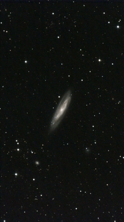 スクリーンショット 2024-04-15 014510