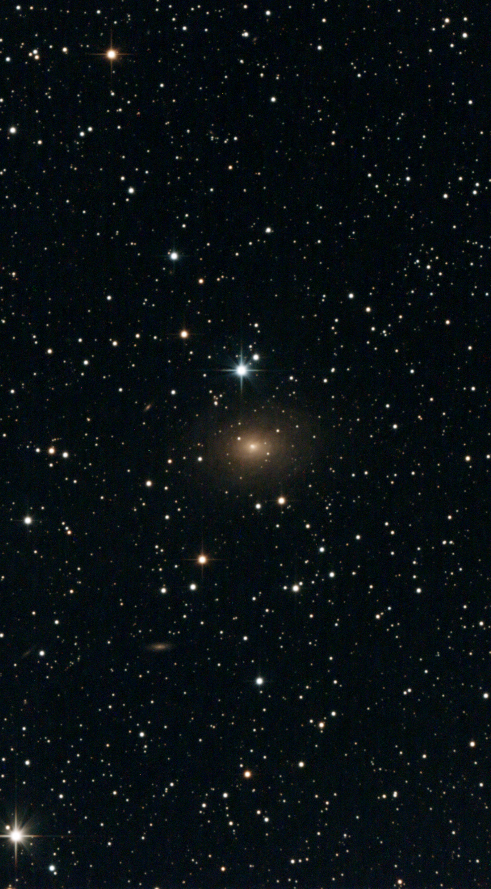 ☆12/09-10 25cm鏡LiveStack ⑥～特異渦巻銀河 IC356(Arp213) : 星夜思