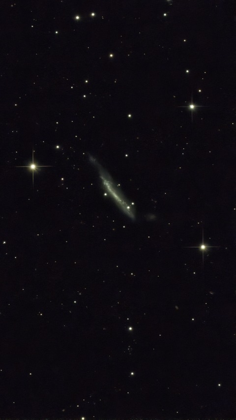 20230511 05NGC3432(編針銀河)