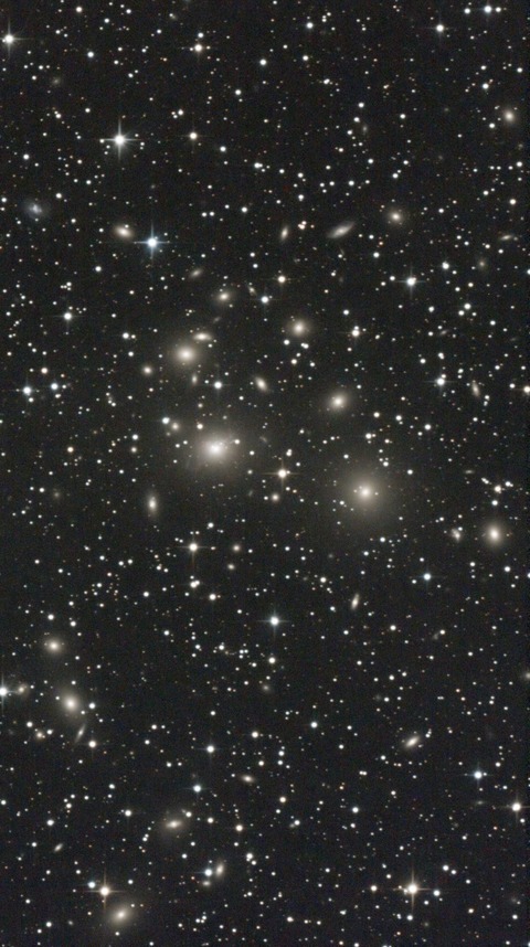 スクリーンショット 2024-10-14 042101