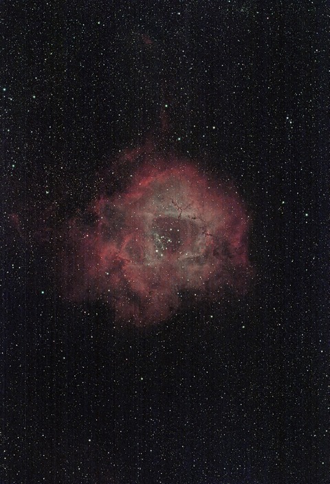 20240105 02NGC2244(バラ星雲)01