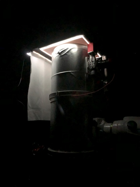 20240604_134205648_iOS