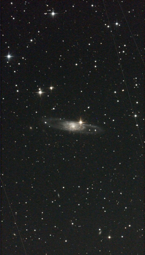 スクリーンショット 2026-02-21 045725