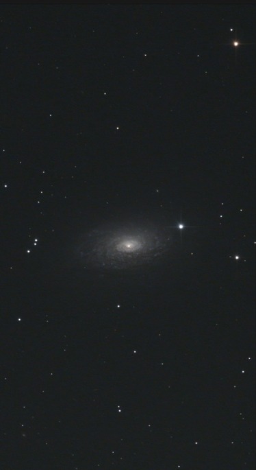 スクリーンショット 2023-03-15 004914